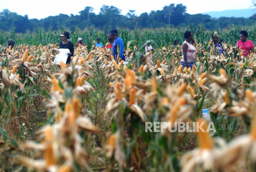 Dradjad Heran dengan Kritik Mahfud MD tentang Rencana Food Estate