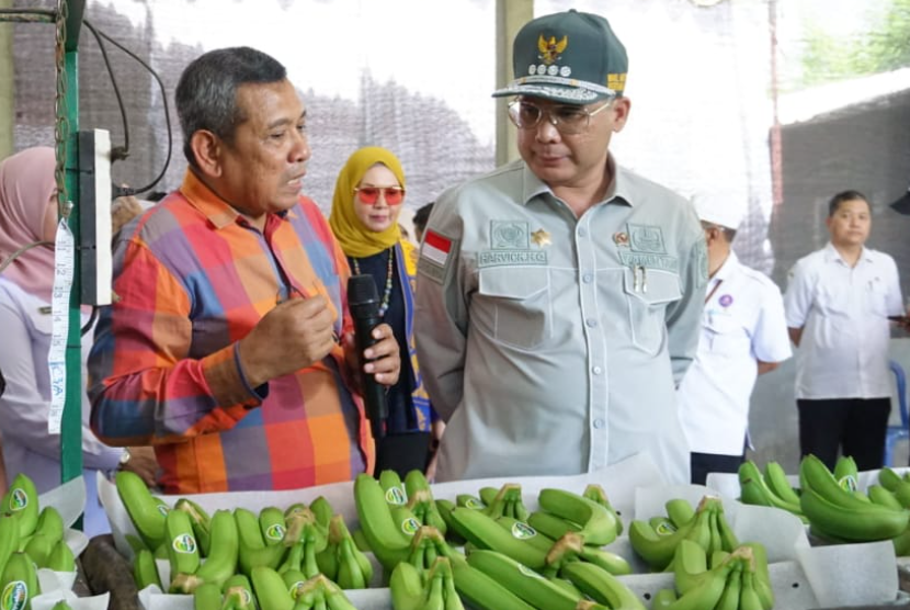 Menteri Pertanian Mendorong Penetrasi Pisang Blitar ke Pasar Ekspor Melalui Koperasi Petani