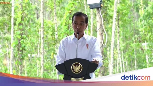 Jokowi Mengungkap Penyebab Kenaikan Harga Beras yang Tidak Terkendali!