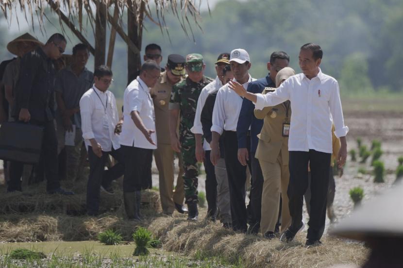 Mayoritas Masyarakat Puas dengan Kinerja Pemerintah Menurut Jokowi, Menjadi Bahan Evaluasi