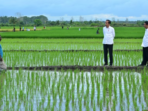 Aktivis Papua Menuntut Dihentikannya Proyek Sawah Satu Juta Hektar di Merauke